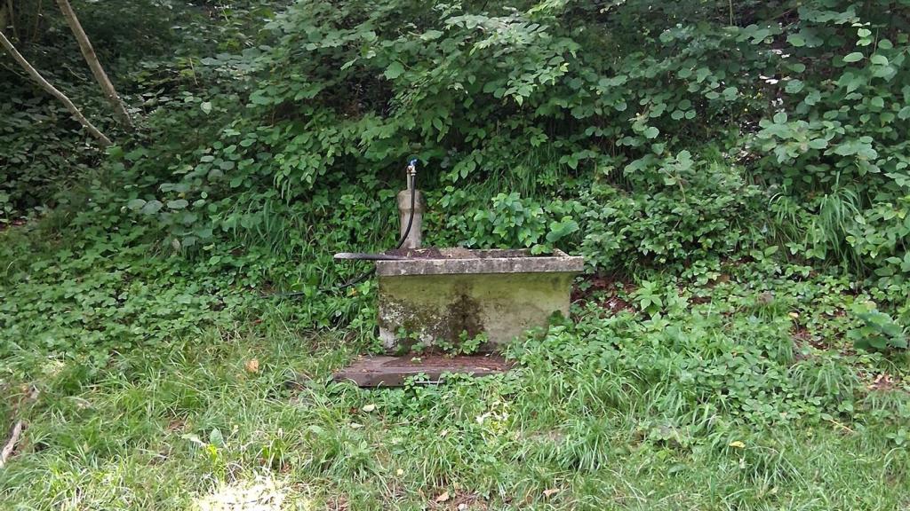 Ferrata_Corna_delle_Capre_006