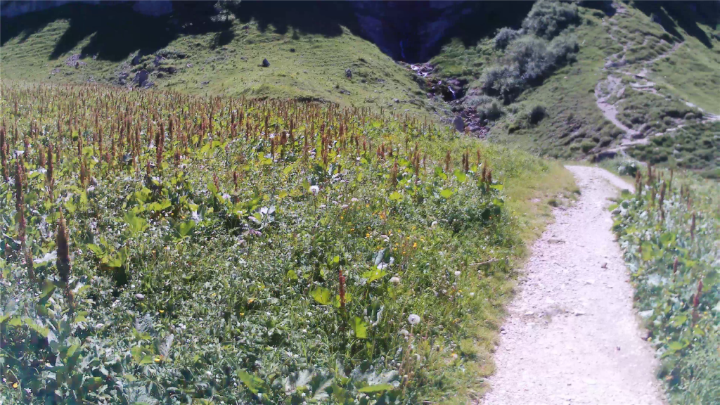 Zustieg_Klettersteig Lachenspitze_009