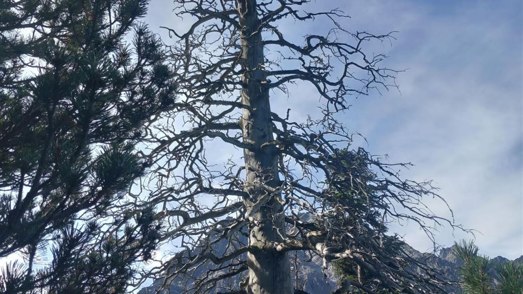 Klettersteig_Saulakopf_003