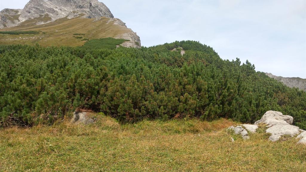 Klettersteig_Saulakopf_007