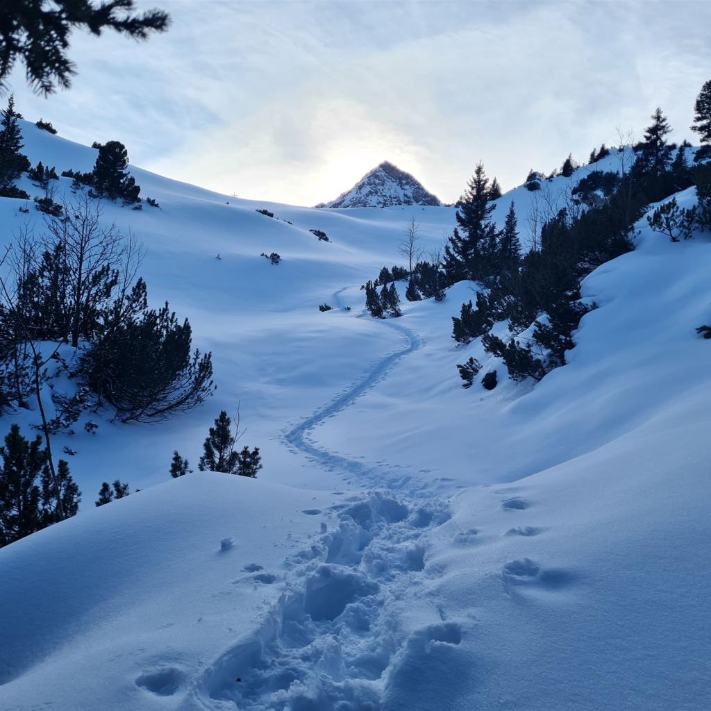 Schnurrschrofen_Sonnenuntergang_Gaishorn_037