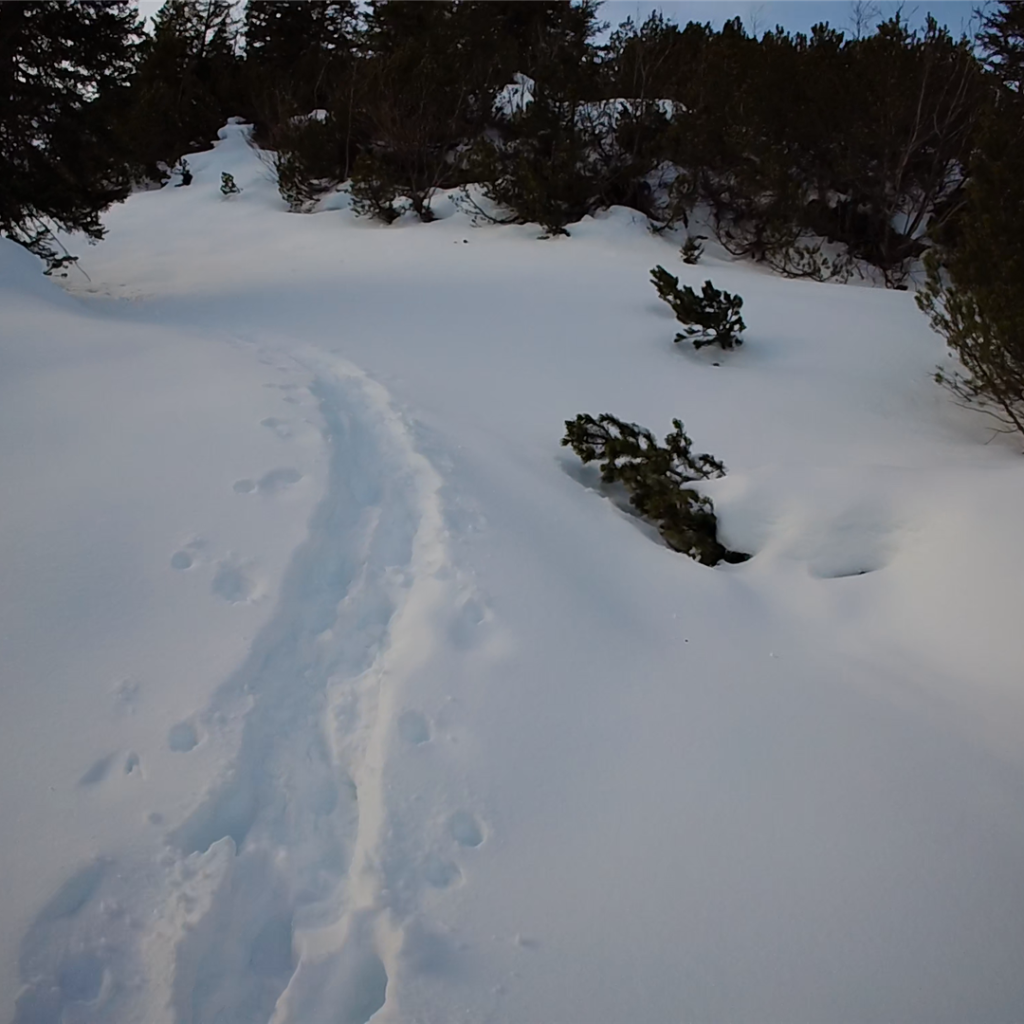 Wanderung_Tannheim_Schnurschrofen_Gaishorn_Winter_000624