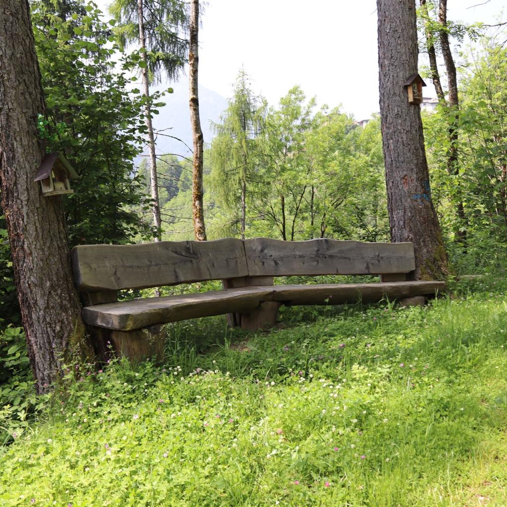 Torrente_Allione_001