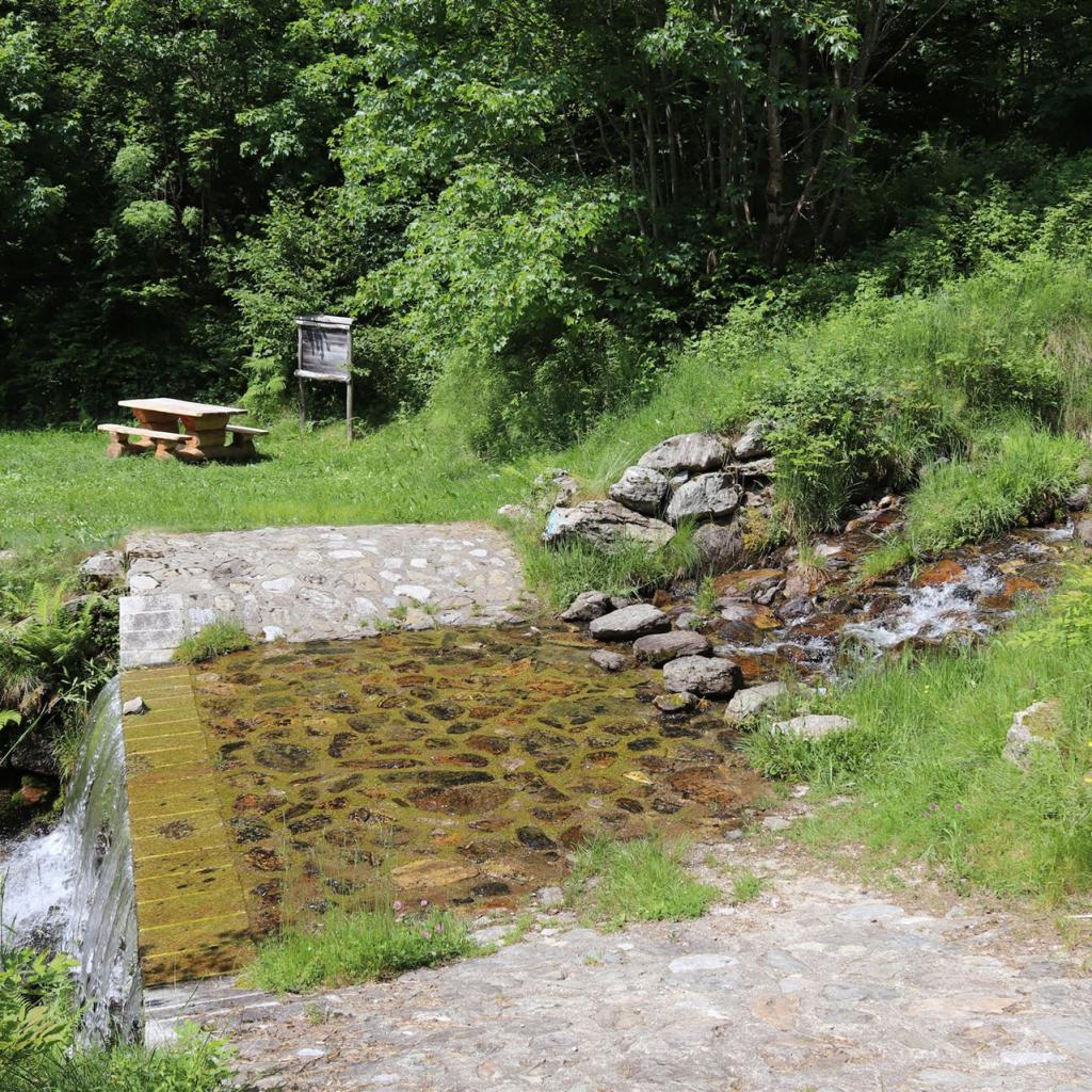 Torrente_Allione_007