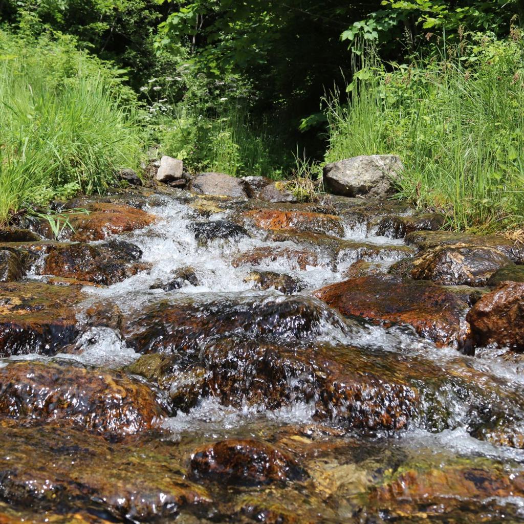 Torrente_Allione_008