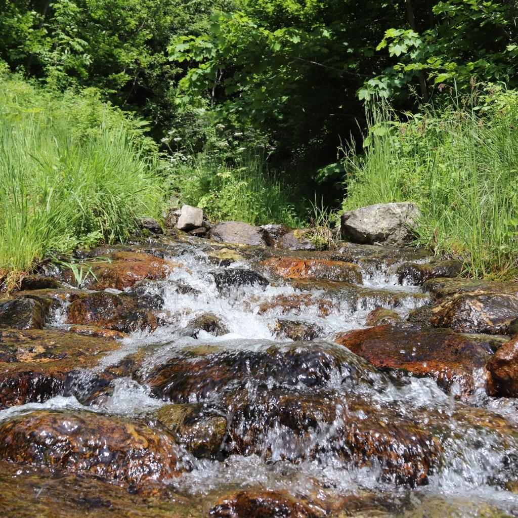 Torrente_Allione_010