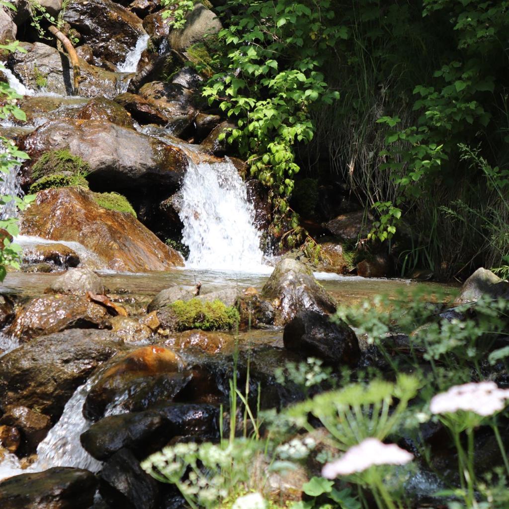 Torrente_Allione_011