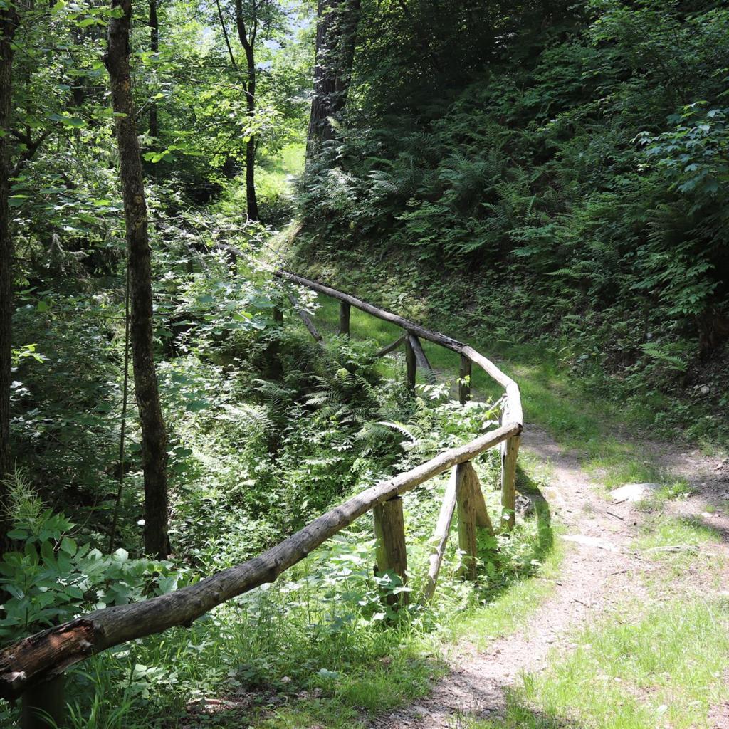 Torrente_Allione_017