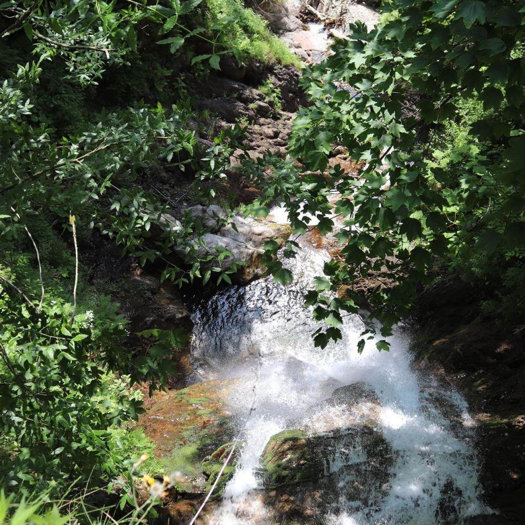 Torrente_Allione_028