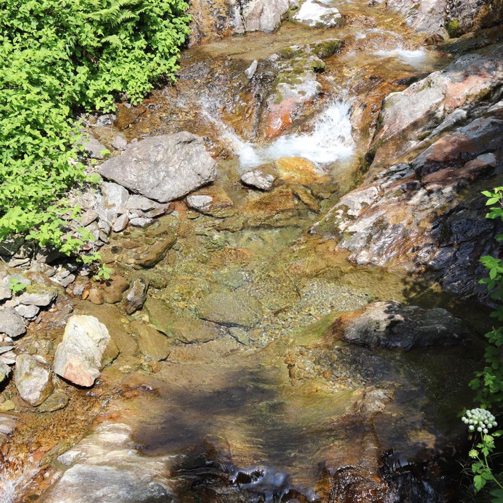 Torrente_Allione_030