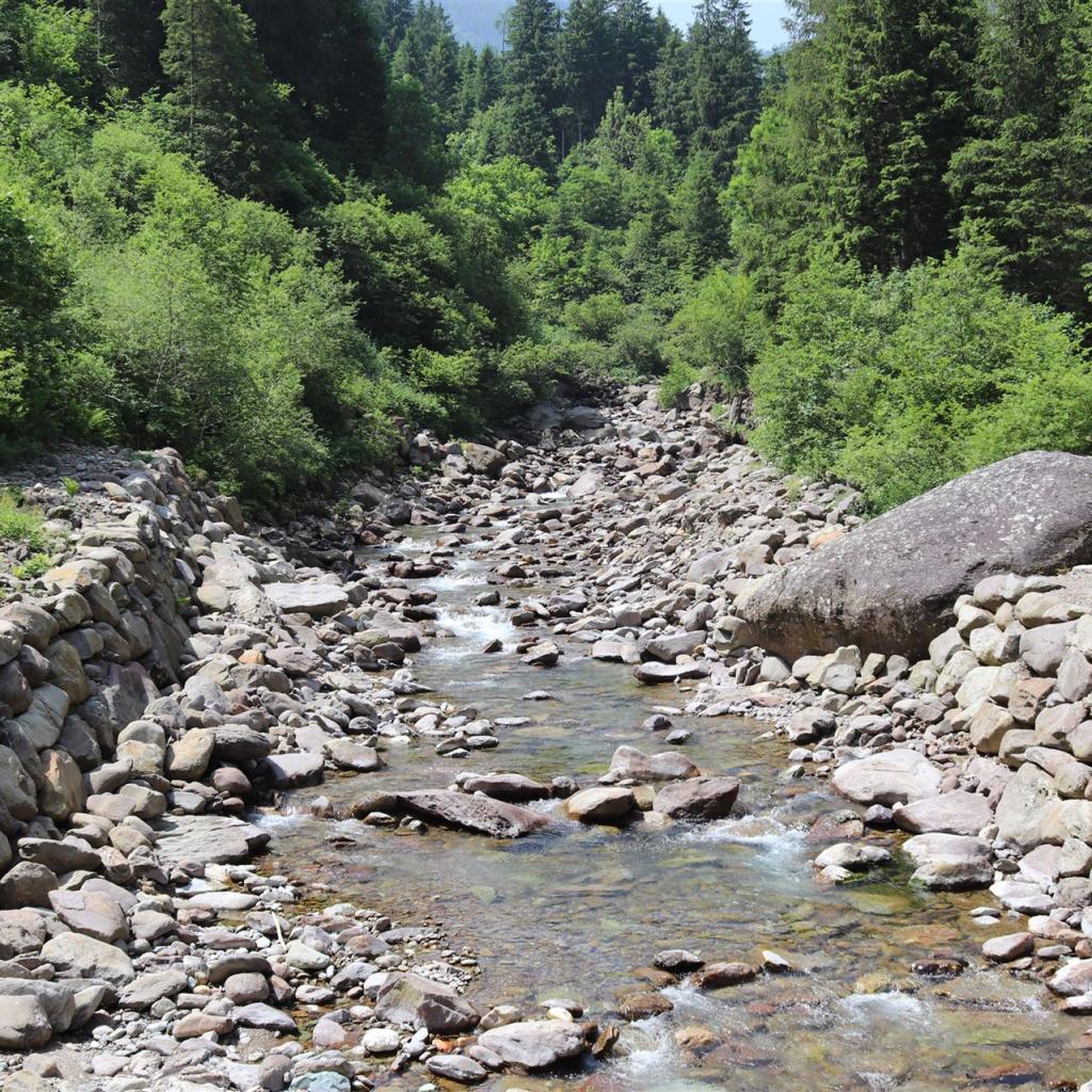 Torrente_Allione_033