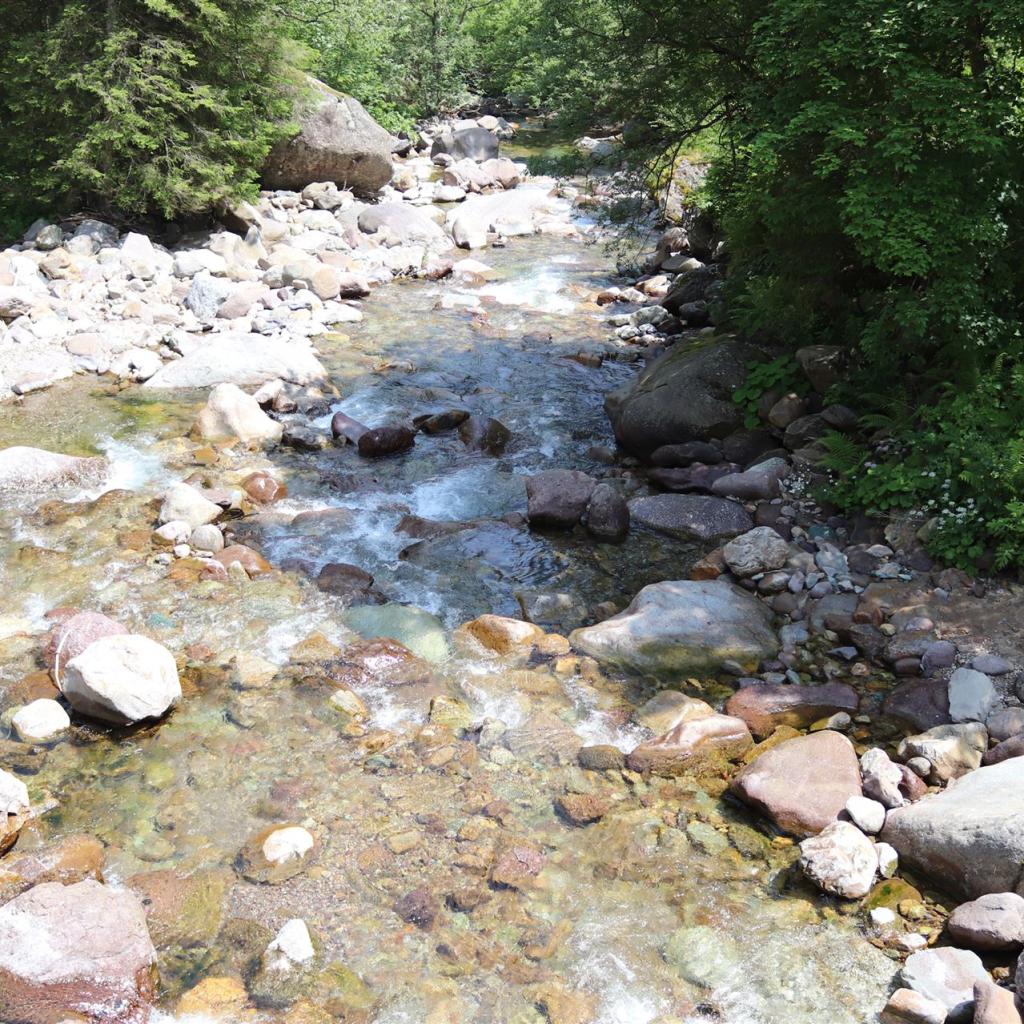 Torrente_Allione_034