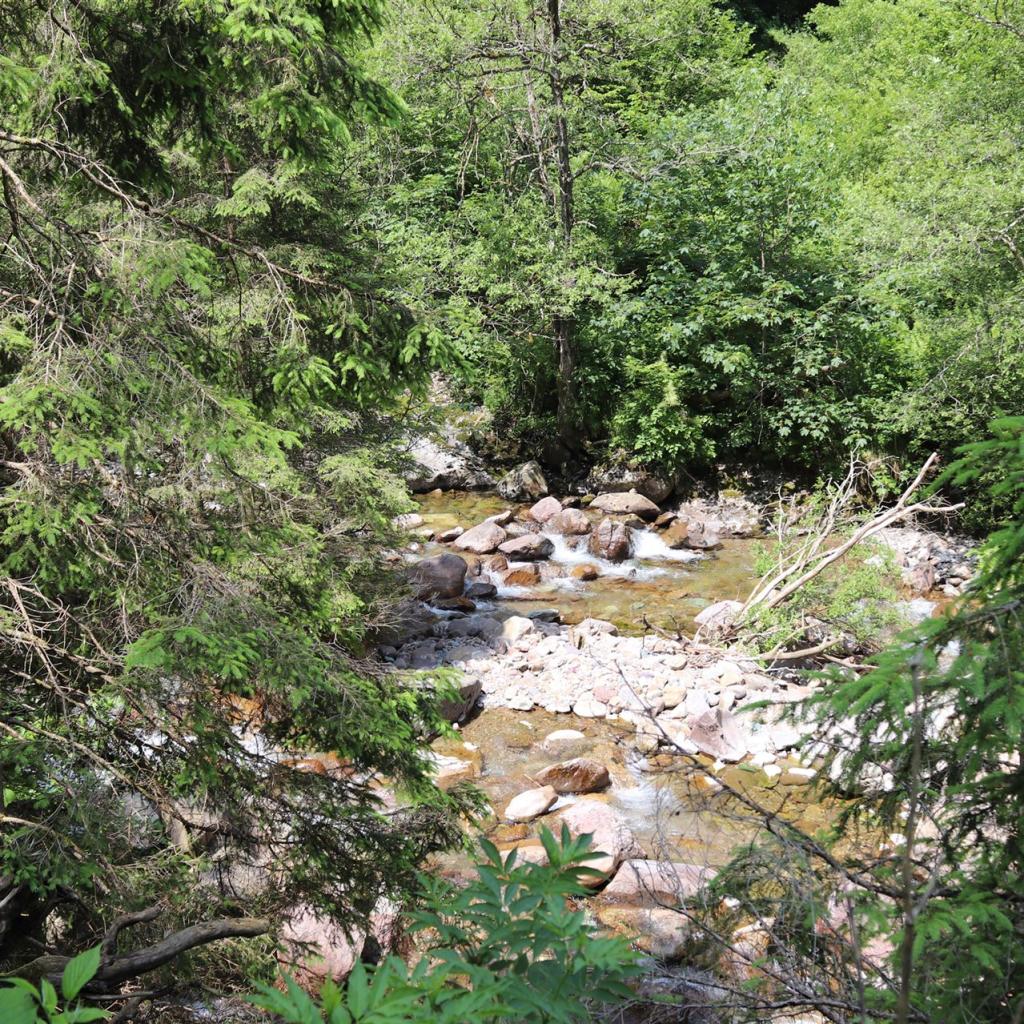 Torrente_Allione_035