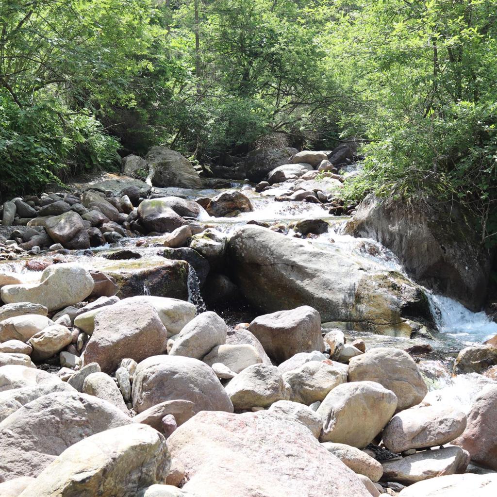 Torrente_Allione_044