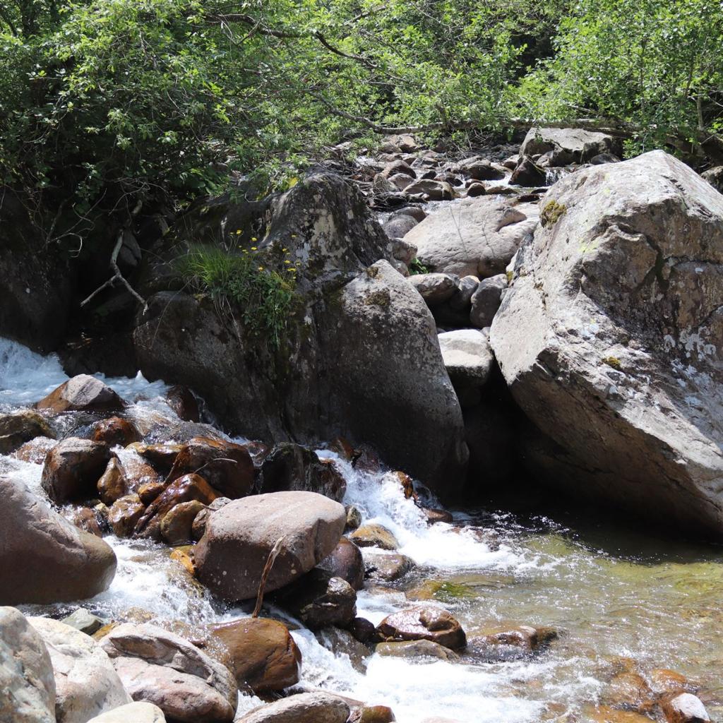 Torrente_Allione_045