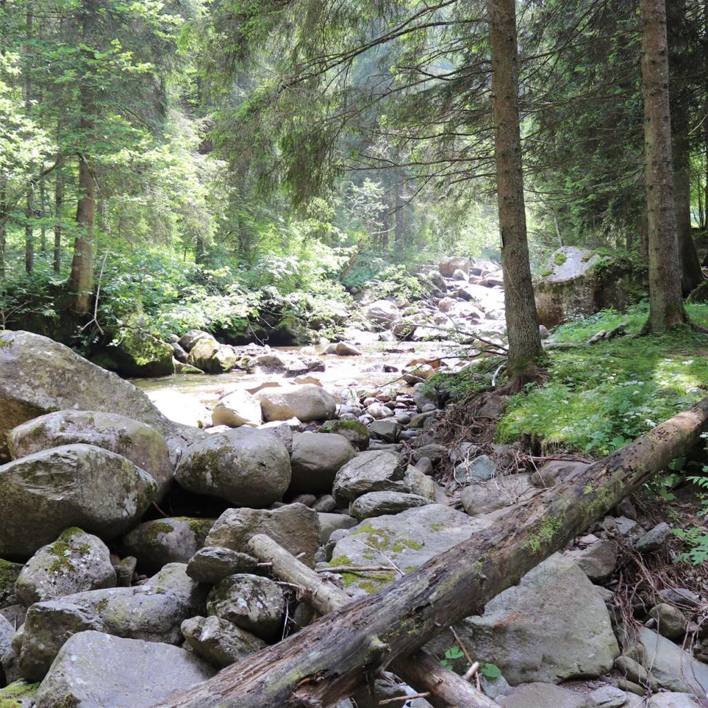 Torrente_Allione_053