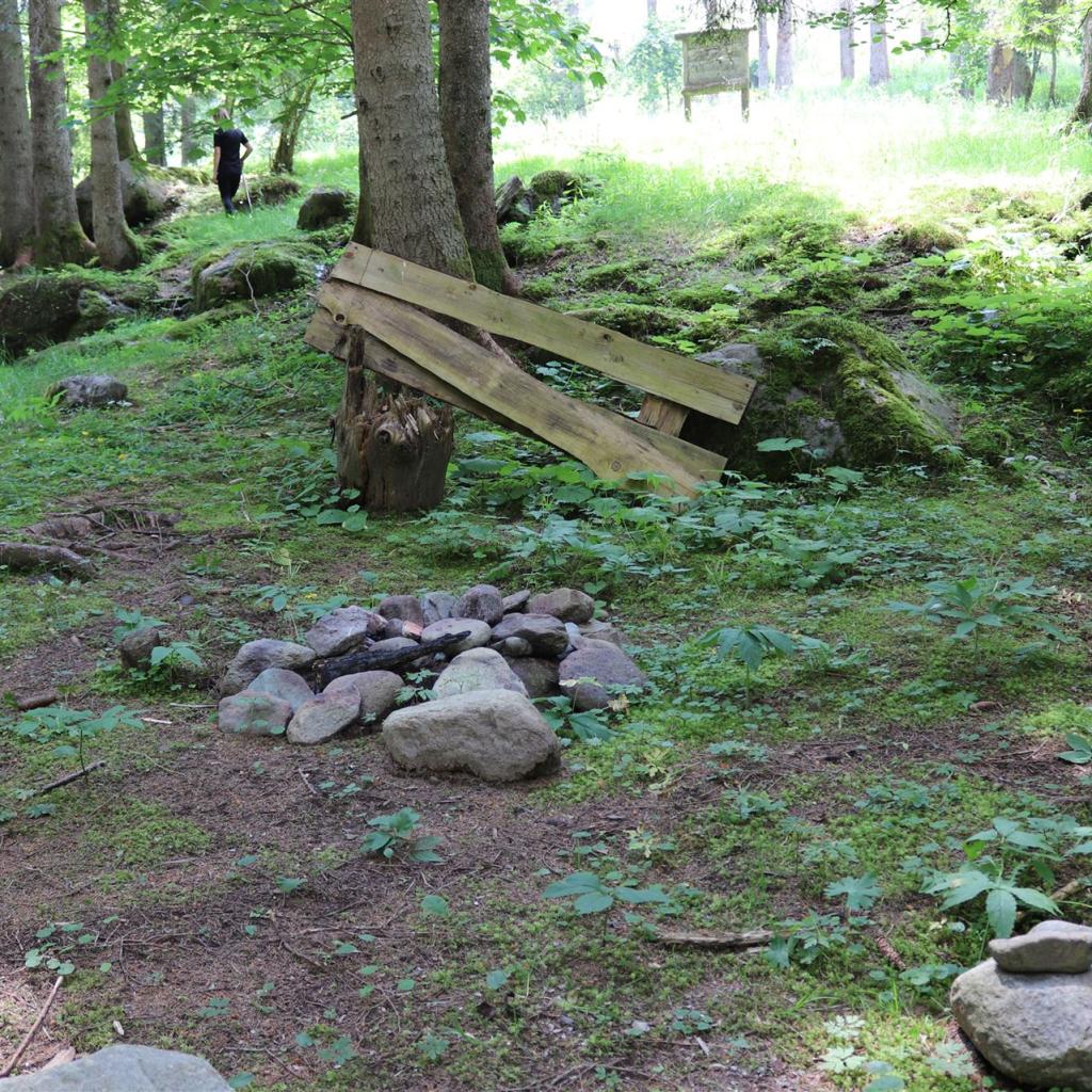 Torrente_Allione_056