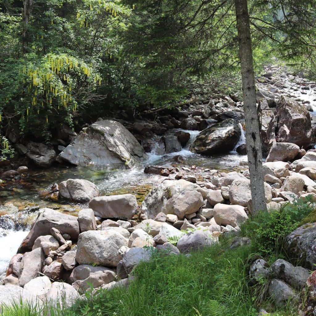 Torrente_Allione_063