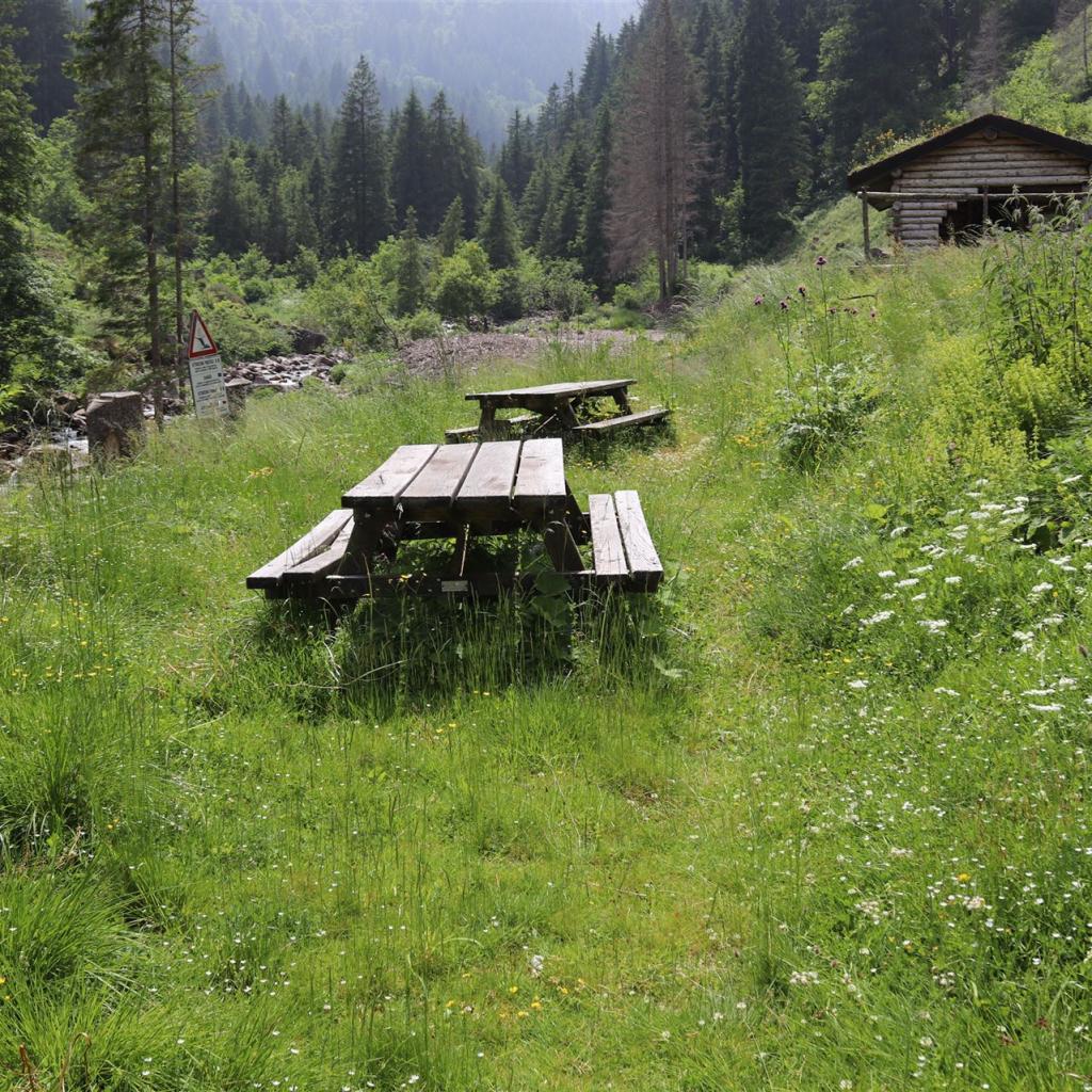 Torrente_Allione_066