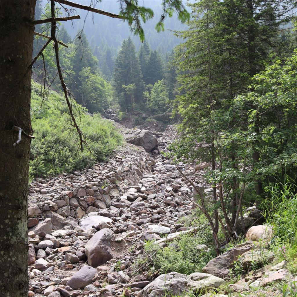 Torrente_Allione_070