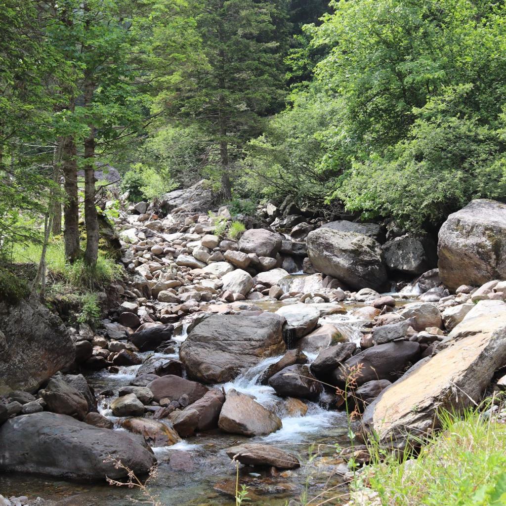 Torrente_Allione_071