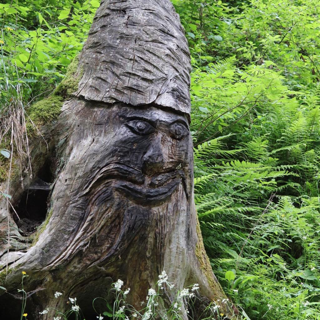 Torrente_Allione_072